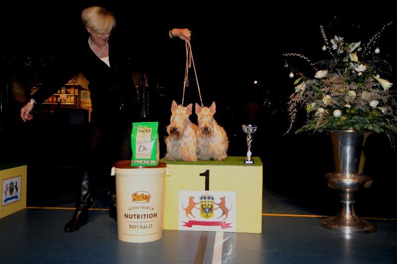 koppel maandag_1.JPG